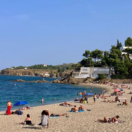 Studio Moderne Argeles Sur Mer.La Plage A Pieds, Espagne A 30Mn Eksteriør bilde